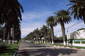 tkm003_209932