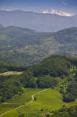 tkm003_210603