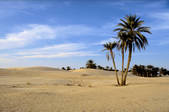 tkm003_540190