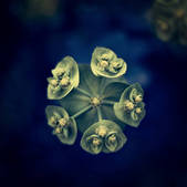 tkm003_540528