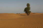tkm003_542480