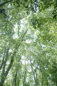 tkm003_545085