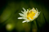 tkm003_549003