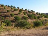 tkm003_549326