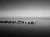 tkm003_551710