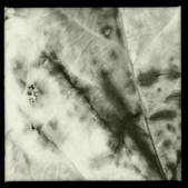 tkm003_551936