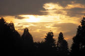 tkf002_100013