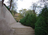 tkf002_100968