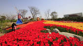 tkf002_100991
