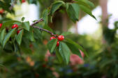 tkf002_100997
