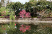 tkf002_101016