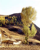 tkm002_100633