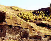 tkm002_100634