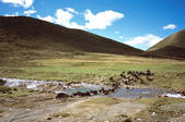 tkm002_100667