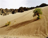 tkm002_100895