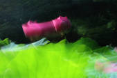 tkm002_102247