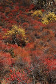 tkf002_102661