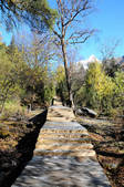tkf002_103587