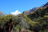 tkf002_103593