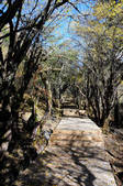 tkf002_103596