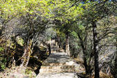 tkf002_103597