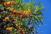 tkf002_103600
