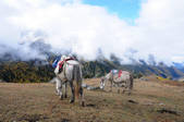 tkf002_103632