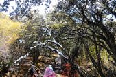 tkf002_103636
