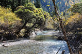 tkf002_103664