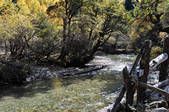 tkf002_103666