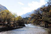 tkf002_103669