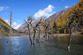 tkf002_103673