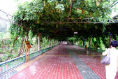 tkm002_107332