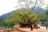 tkm002_107561