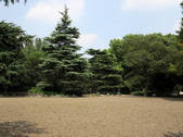tkf002_117277