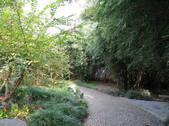 tkf002_117288