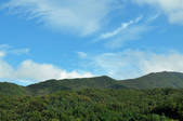 tkf002_118794