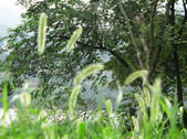 tkf002_131259