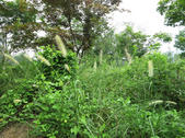 tkf002_131275