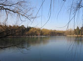 tkf002_132463