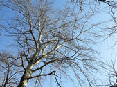 tkf002_132523
