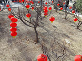 tkf002_132586