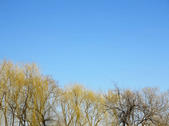 tkf002_132588
