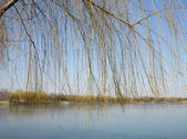 tkf002_132632