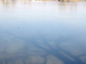 tkf002_132641
