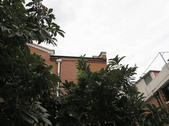tkf002_132997