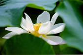 tkf002_108134