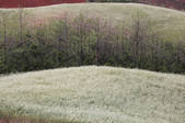 tkm002_109520