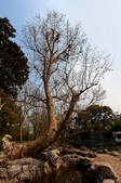 tkf002_114292