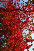tkf002_115173